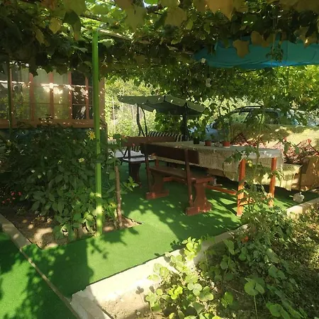 за гости тамара Ezerets