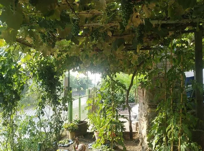 Gasthof за гости тамара