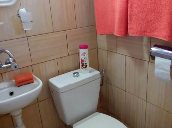 за гости тамара 3* Ezerets