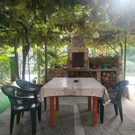 за гости тамара