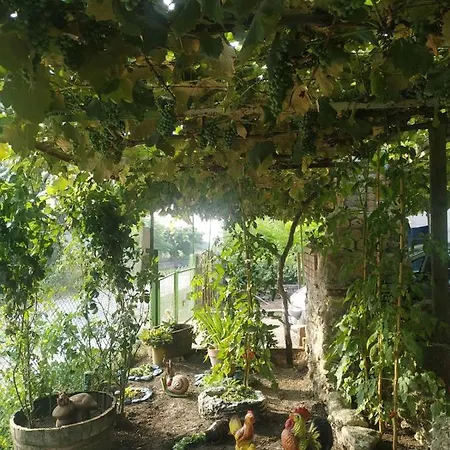 بيت ضيافة за гости тамара